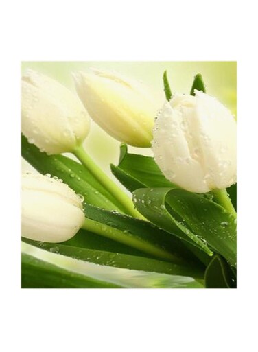 White Flowers MDF Wall Art Multicolour 30x30cm