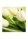 White Flowers MDF Wall Art Multicolour 30x30cm