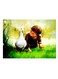 Printed Decorative Wall Art Plate Multicolour 20cm