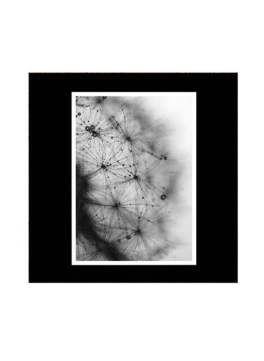 Nature Themed Wall Art Black/White 30x30cm