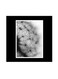 Nature Themed Wall Art Black/White 30x30cm