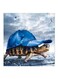 Funny Tortoise Wearing Hat MDF Wall Art Painting Blue/Brown/Beige 30x30centimeter