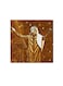 Rabih Saqar Wall Art Painting Brown/White 30 x 30centimeter