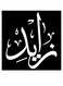 Zayed Printed Wall Art Black/White 30x30cm