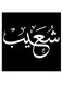 Shoaib Printed Wall Art Black/White 30x30cm