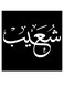 Shoaib Printed Wall Art Black/White 30x30cm