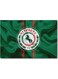Al-Ettifaq FC Wall Art Green/White 40x60cm