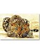 Leopard Printed Wall Art Multicolour 40x60cm