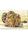 Leopard Printed Wall Art Multicolour 40x60cm