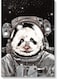 Panda Wall Art Multicolour 40x60cm