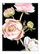 Printed Decorative Wall Art Plate Multicolour 20cm