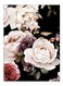 Printed Decorative Wall Art Plate Multicolour 20cm