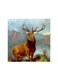 Animal Mdf Wall Art Multicolour 30x30centimeter