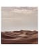 Desert Themed Printed MDF Wall Art Brown/Gray/White 30x30cm