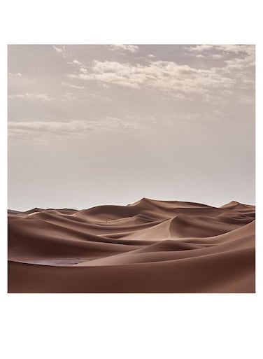 Desert Themed Printed MDF Wall Art Brown/Gray/White 30x30cm