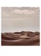 Desert Themed Printed MDF Wall Art Brown/Gray/White 30x30cm