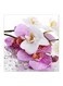 Pink Flower MDF Wall Art White/Purple 30x30centimeter