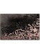 Calligraphy Wall Art Multicolour 40x60cm