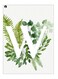 Printed Decorative Wall Art Plate Green/White 20cm