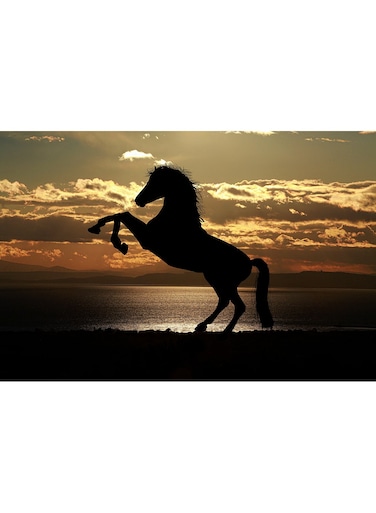 Horse Sunset Sea Light Reflections Wall Art Canvas Print Multicolour 70x47x3.5cm