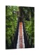 Decorative Printed Framed Canvas Wall Art Green/Brown/Black 60 x 80centimeter