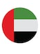 Flags UAE Themed Printed MDF Wall Art Red/Green/White 30x30cm
