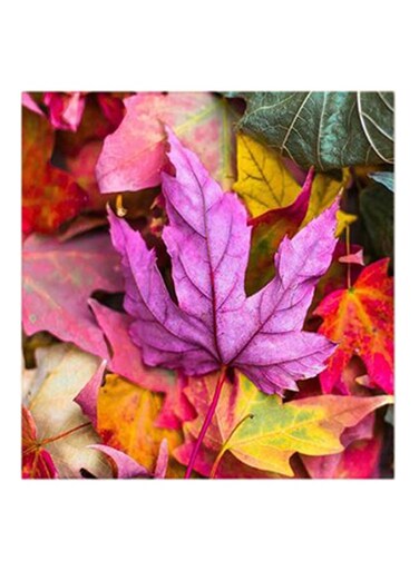 Colorful Leaves MDF Wall Art Multicolour