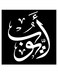 Ayoub Wall Art Black/White 30x30cm