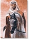 Prince Mohammed Bin Salman Wall Art Multicolour 40x60cm