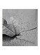 Leaf MDF Wall Art Painting Multicolour 30x30cm