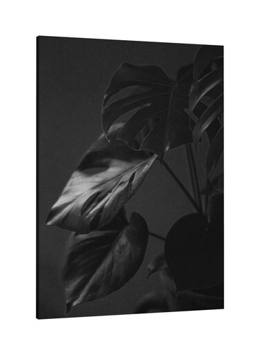 Printed Framed Canvas Wall Art Black 60x80centimeter
