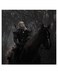 Witcher Themed Printed MDF Wall Art Black/Gray/Brown 30x30cm