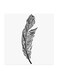 Feather MDF Wall Art Multicolour 30x30centimeter