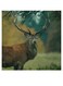 Deer Themed Wall Art Green/Brown 30x30cm