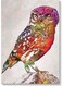 Owl Wall Art Painting Multicolour 40x60cm