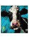 Cow Themed Wall Art Blue/White/Black 30x30cm