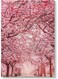 Spring Wall Art Multicolour 40x60cm