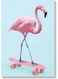 Flamingo Printed Wall Art Blue/Pink 40x60cm