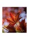 Leaf MDF Wall Art Multicolour 30x30centimeter
