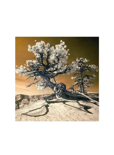 Nature Mdf Wall Art Multicolour 30x30centimeter
