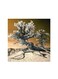 Nature Mdf Wall Art Multicolour 30x30centimeter
