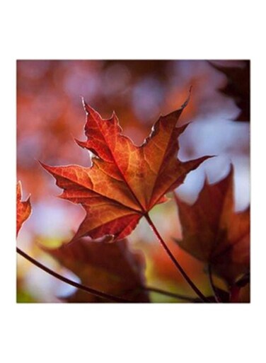 Leaf MDF Wall Art Painting Red/Green 30x30centimeter