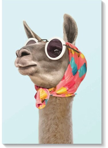 The llama Wall Art Multicolour 40x60cm