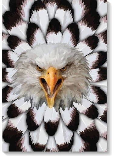 Falcon Wall Art Multicolour 40x60cm