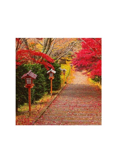 Nature Mdf Wall Art Multicolour 30x30cm