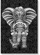 Elephant Wall Art Multicolour 40x60cm