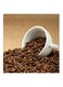 Coffee Beans With Mug Wall Art Brown/Beige/White