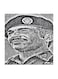 King Hussein of Jordan MDF Wall Art Multicolour 30x30centimeter