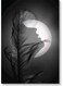 Woman And Moon Wall Art Black/White 40x60cm
