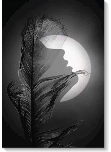 Woman And Moon Wall Art Black/White 40x60cm